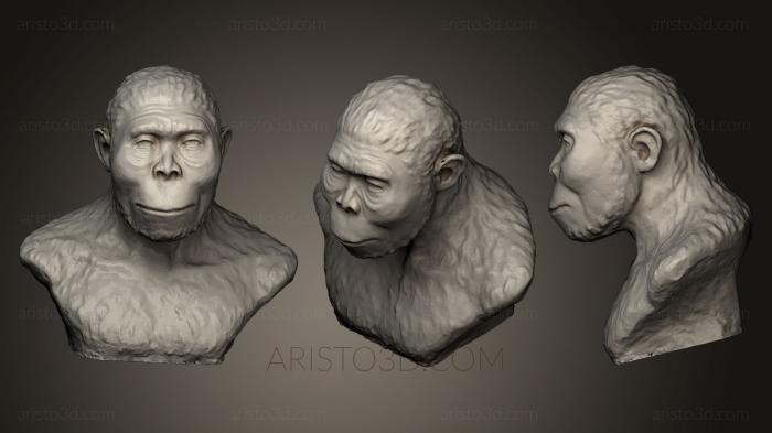 Busts and heads antique and historical (BUSTA_0428) 3D model for CNC machine